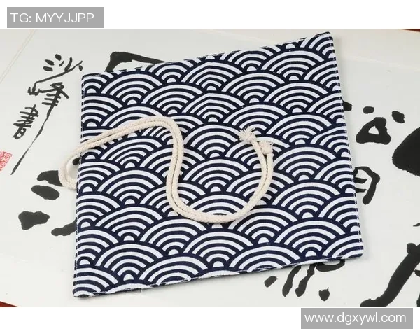 足球球星笔袋整理技巧打造专属文具收纳空间提升生活品质